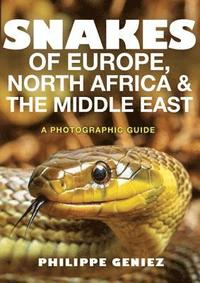 bokomslag Snakes of Europe, North Africa and the Middle East