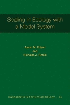 bokomslag Scaling in Ecology with a Model System