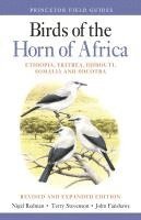 bokomslag Birds of the Horn of Africa