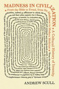 bokomslag Madness in Civilization: A Cultural History of Insanity, from the Bible to Freud, from the Madhouse to Modern Medicine
