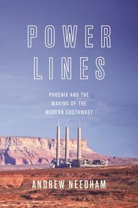 bokomslag Power Lines