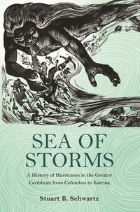 bokomslag Sea of Storms