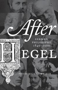 bokomslag After Hegel