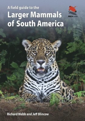 A Field Guide to the Larger Mammals of South America 1