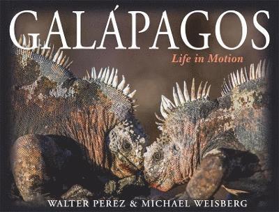 Walter Perez, Michael Weisberg - Galápagos, Inbunden