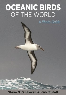 bokomslag Oceanic Birds of the World