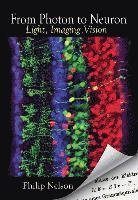 bokomslag From Photon to Neuron