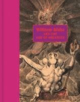 bokomslag William Blake and the Age of Aquarius