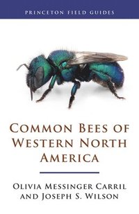 bokomslag Common Bees of Western North America