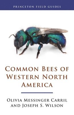 Common Bees of Western North America 1