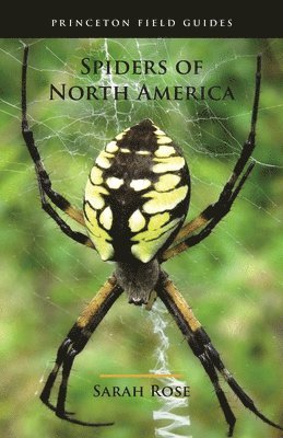 Sarah Rose - Spiders of North America, Häftad