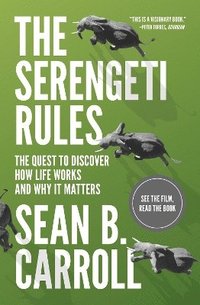 bokomslag The Serengeti Rules