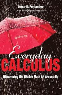 bokomslag Everyday Calculus