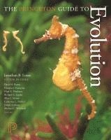 bokomslag The Princeton Guide to Evolution