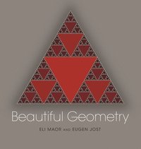 bokomslag Beautiful Geometry