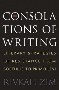 bokomslag The Consolations of Writing