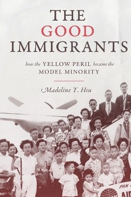 Madeline Y. Hsu - Good Immigrants, Häftad