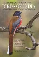 bokomslag A Photographic Field Guide to the Birds of India, Pakistan, Nepal, Bhutan, Sri Lanka, and Bangladesh