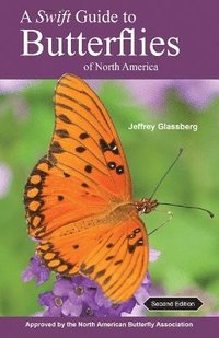 bokomslag A Swift Guide to Butterflies of North America