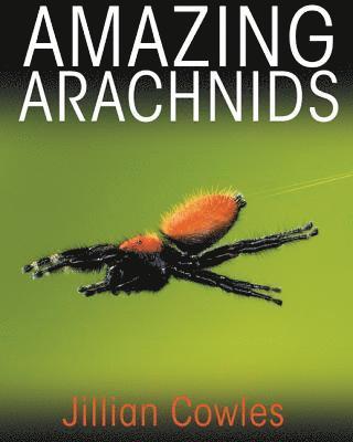 Jillian Cowles - Amazing Arachnids, Inbunden
