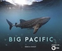 bokomslag Big Pacific - Passionate, Voracious, Mysterious, Violent