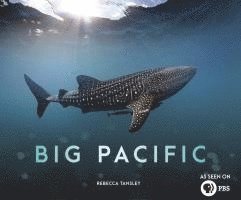 bokomslag Big Pacific: Passionate, Voracious, Mysterious, Violent