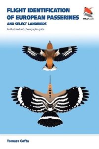 bokomslag Flight Identification of European Passerines and Select Landbirds