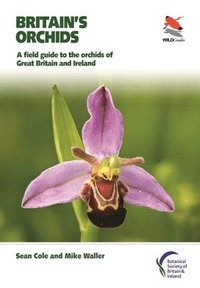 bokomslag Britain's Orchids