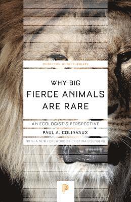 Paul Colinvaux - Why Big Fierce Animals Are Rare, Häftad