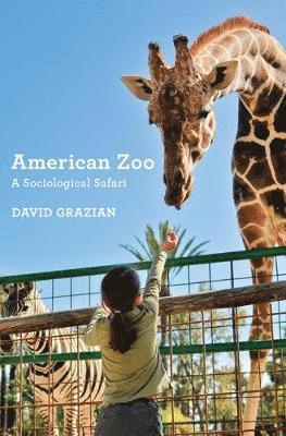 American Zoo 1