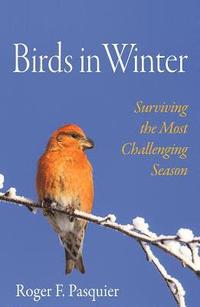 bokomslag Birds in Winter
