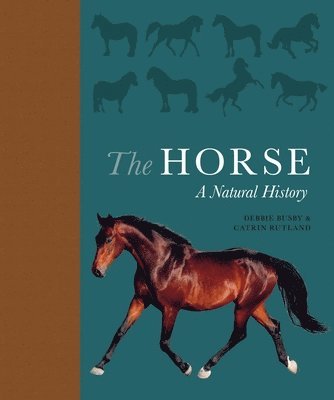 Debbie Busby, Catrin Rutland - The Horse: A Natural History, Inbunden