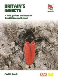 bokomslag Britain's Insects