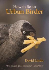 bokomslag How to Be an Urban Birder