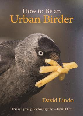 bokomslag How to Be an Urban Birder
