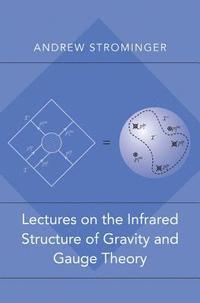 bokomslag Lectures on the Infrared Structure of Gravity and Gauge Theory