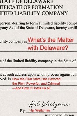 bokomslag What's the Matter with Delaware?
