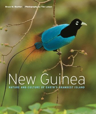 New Guinea 1