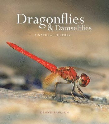 bokomslag Dragonflies and Damselflies