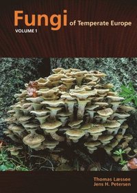 bokomslag Fungi of Temperate Europe