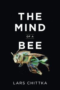 bokomslag The Mind of a Bee