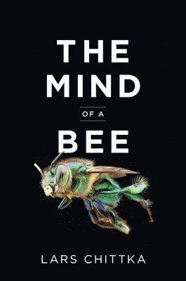 The Mind of a Bee 1