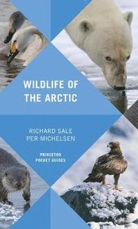 bokomslag Wildlife of the Arctic