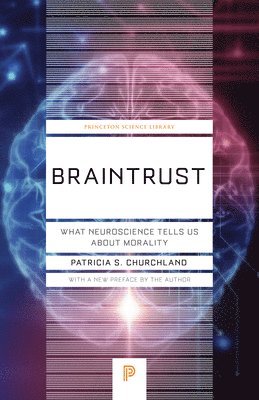 Braintrust 1