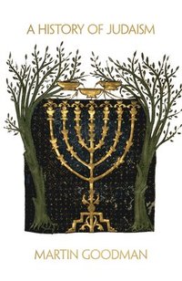 bokomslag A History of Judaism