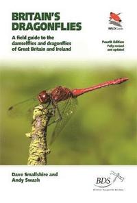 bokomslag Britain's Dragonflies