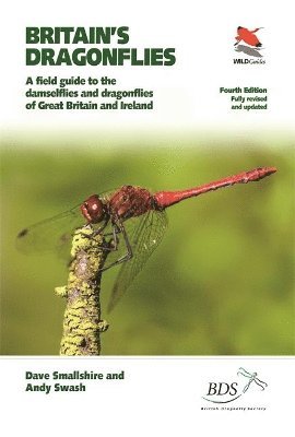 Britain's Dragonflies 1