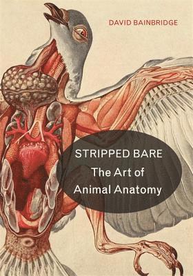 David Bainbridge - Stripped Bare: The Art of Animal Anatomy, Inbunden