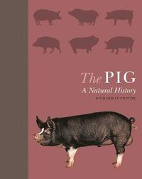 bokomslag The Pig: A Natural History