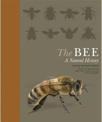 bokomslag The Bee: A Natural History